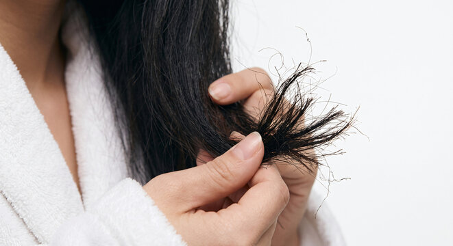 Close-up of a person's hand holding damaged, split ends of dark hair against a white background