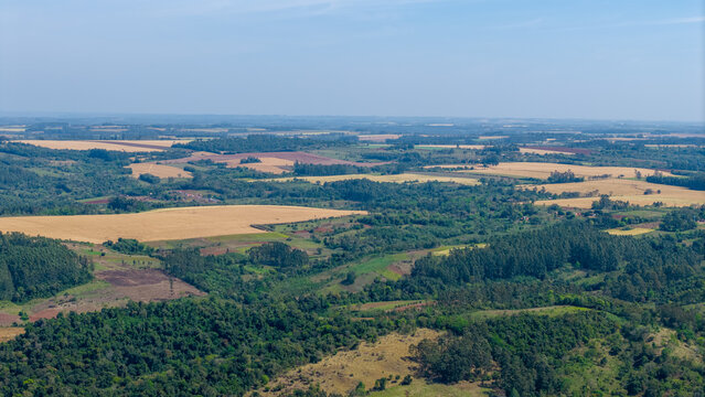 Aerial view of the rolling agricultural landscape with golden crop fields, dense green forests, and rolling hills under a clear blue sky in Nueva Alborada, Itapua Department, Paraguay.