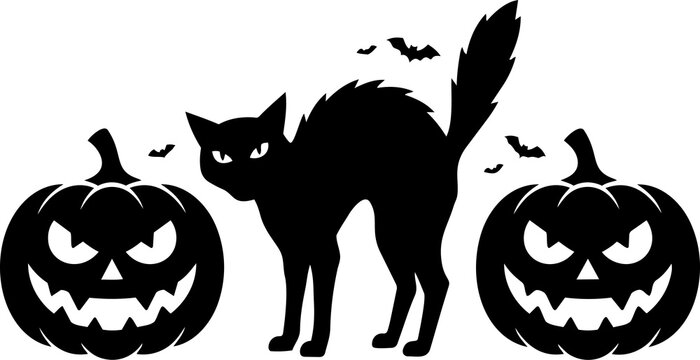 Black silhouette of an arching cat flanked by carved pumpkins and bats