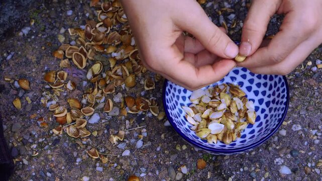 Close overhead footage shows hands breaking hazelnuts over a blue patterned bowl surrounded by empty shells.