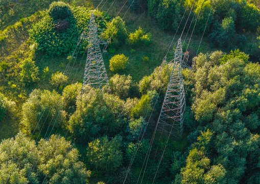 Aerial view of two electricity pylons standing amidst dense green trees and lush forest foliage in Gdynia, Pomeranian Voivodeshi, Poland.