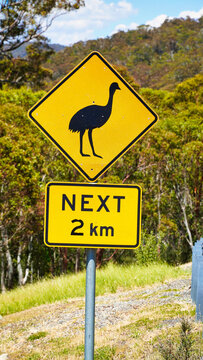 Warning sign for emus along the road in a natural landscape of Australia