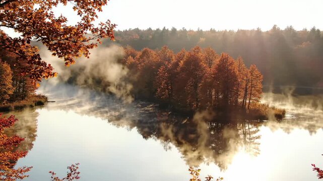 A compact grove of copper trees glows on a tiny wooded isle, encircled by drifting dawn vapour and mirrored in still lake water as angled sunlight reveals layered forest depth and autumnal solitude