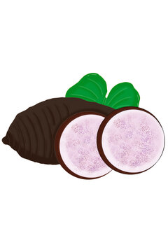 A cut brown taro corm with purple color inside and green leaf 