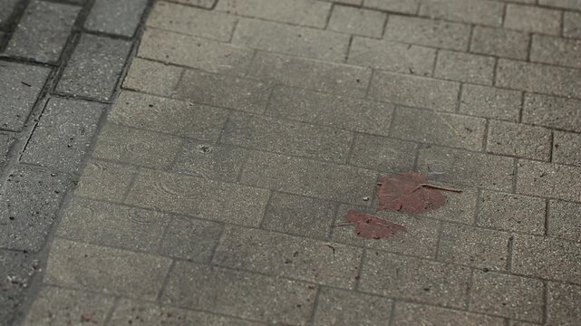 Raindrops falling on wet paved sidewalk with dry autumn leaf. Rain on pavement during rainy weather. Autumn season city street texture background concept.