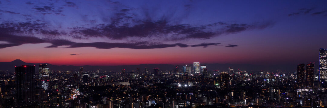 Tokyo cityscape in Minato ward with Mount Fuji silhouette glowing against twilight sky