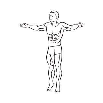 Muscular Shirtless Man Standing With Arms Outstretched T-Pose  Fitness Body Anatomy Line Illustration