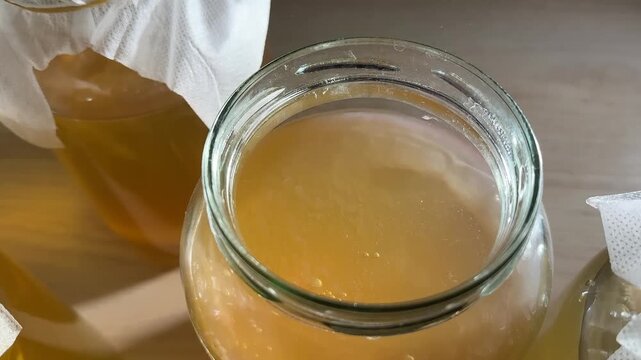 Kombucha fermentation. Scooby-Doo mushroom in a tea jar under a lid.
Jar of Liquid Beverage