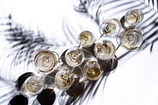 Chilled Sauvignon Blanc white wine under palm leaves shadow &mdash; elegant degustation. Marlborough and Sancerre region presentation setup. Luxury crystal glasses top view rating concept.