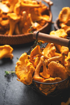 Golden wild chanterelle mushrooms filling rustic wire mesh bowl. Vertical composition on dark background with fresh thyme sprigs. Premium vegetarian culinary ingredient for gastronomy.