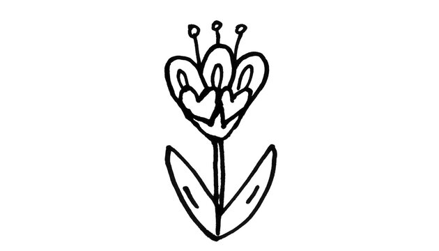 Simple Line Art Flower with Leaves Hand-Drawn Doodle for Photoshop & Illustrator