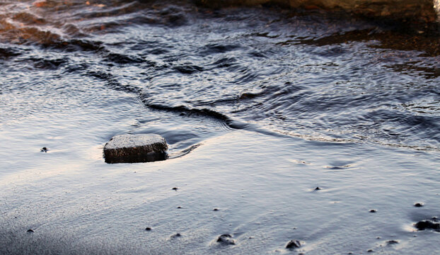 By the shore