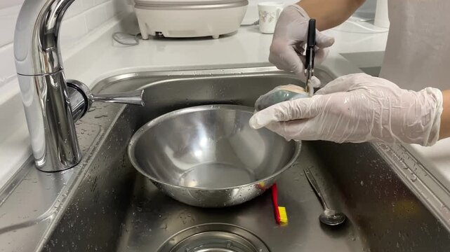 Separating abalone meat from its internal organs using scissors in a kitchen sink