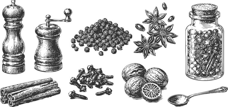 Vintage spice collection hand drawn pepper grinder anise cloves nutmeg cinnamon jar spoon engraving illustration