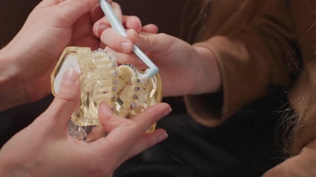 Close up of person demonstrating dental hygiene on orthodontic model with braces using small brush. adult holds transparent plastic mouth model while brushing around metal brackets
