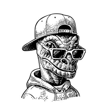 Reptilian hipster with sunglasses dressed in the hoodie and baseball cap. Vector black engraving vintage illustrations. Isolated on white background