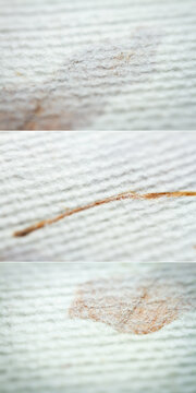Collection of images with extreme closeups of white handmade paper with dried plants. Shallow depth of field.