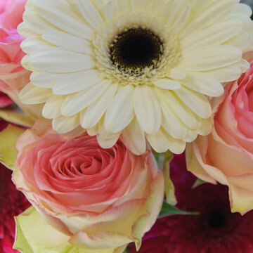 Blumenstrau&szlig; mit Gerbera und Rosen
