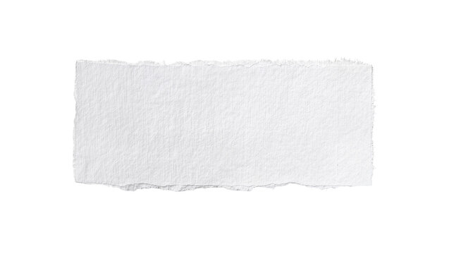 Rough textured white paper strip with torn edges, isolated on transparent background