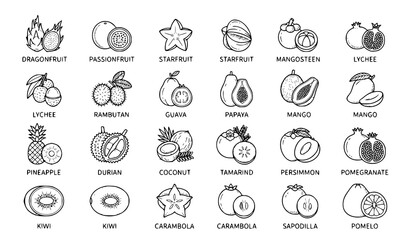 Obraz premium Tropical Exotic Fruit Botanical Line Icons, Organic Food Vector Collection