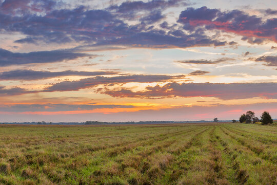 63893-02917 Sunrise at Prairie Ridge State Natural Area, Marion County, IL