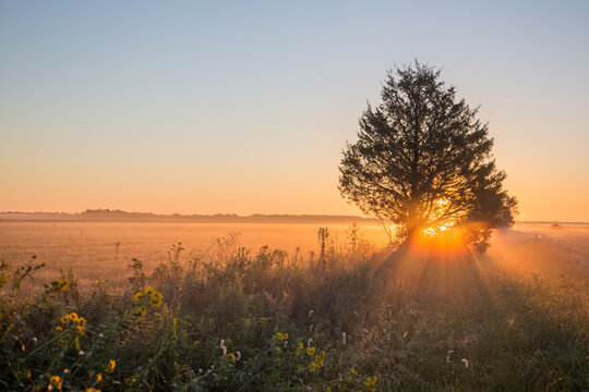 63893-02905 Sunrise at Prairie Ridge State Natural Area, Marion Co, IL