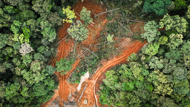 Aerial view of deforested land with mining access trails