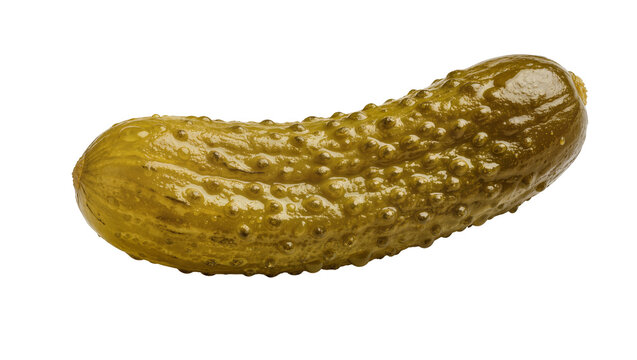 Whole bumpy dill pickle glistening with brine, isolated on transparent background