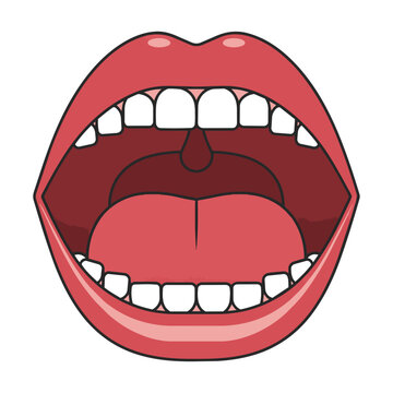 Human mouth with tongue, uvula, and teeth in a clean flat design, isolated on white. Dental anatomy concept
