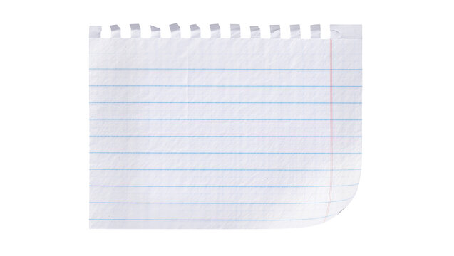 Torn lined paper page with perforated edge, isolated on transparent background