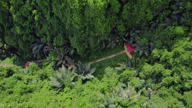 Overhead aerial footage reveals a narrow staircase surrounded by thick tropical jungle vegetation as it climbs through a remote mountainous landscape.