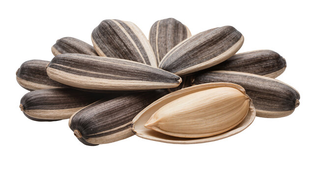 Pile of striped sunflower seeds one cracked open showing kernel, isolated on transparent background