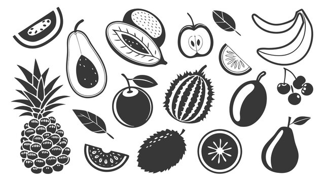 Vector Set of Leaves and Black Olives with Black and Green Foliage, Botanical Fruit and Healthy Food Illustrations for Organic Nature Design