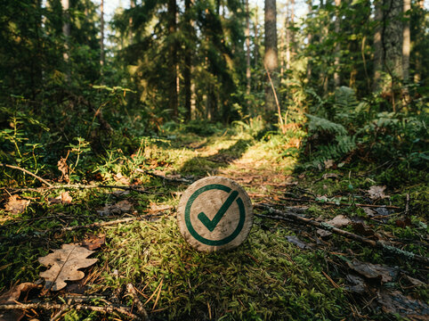 Wooden trail marker with a green checkmark on moss and fallen forest leaves