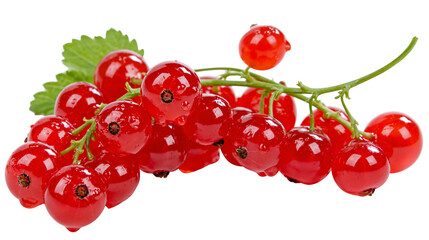 Vibrant red currants with water droplets on a green stem, isolated on transparent background © Noah