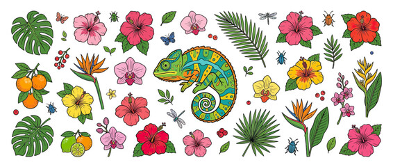 Tropical Creatures and Flora Collection © defa