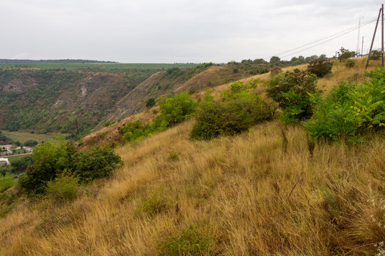 A grassy hill with trees
