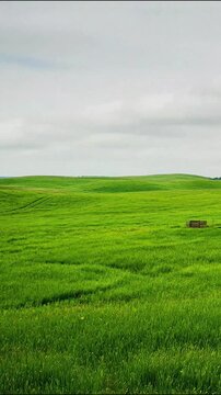 Aerial view of a lush green rice paddy field with a small tractor working in the distance under a cloudy sky green rice terraces agriculture