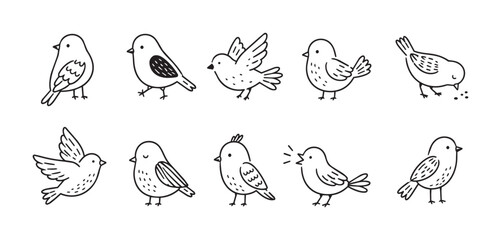 Obraz premium Hand drawn doodle bird icons set with simple outline strokes, playful poses, feeding gestures, and clean rounded forms for cheerful creative layouts, with bird, doodle, outline, icon detail