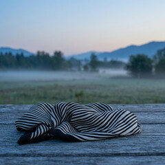 Striped fabric bundle on a weathered deck before misty fields at pale dawn Striped fabric bundle on a weathered deck before misty fields at pale dawn