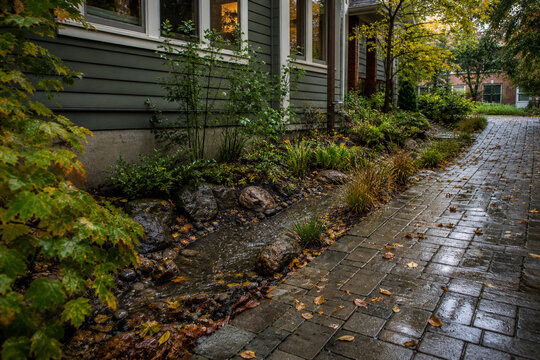 Residential Rain Garden Managing Autumn Runoff