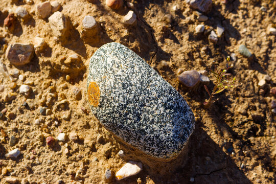 Single diorite pebble with speckled texture resting on arid sandy gravel quarry ground, illuminated by warm natural sunlight highlighting intricate geological stone details and surface patterns