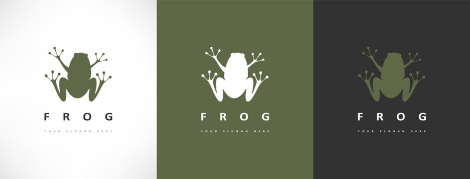 Frog logo vector. Animal design.