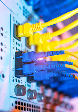 Fiber Optic cables connected to optic ports and UTP, Network cables connected to ethernet ports.