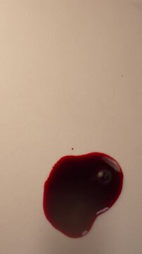 Fresh blood dripping and pooling on light surface for scientific forensic lab analysis, top view zoom in slow motion, top copy space, vertical video