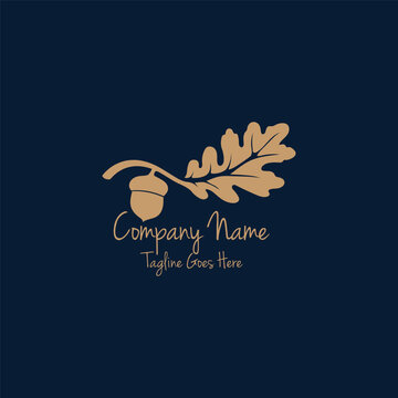 Classic Aesthetic Botanical Oak Seed Nut Icon Symbol