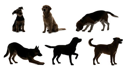 Obraz premium Set of 6 dog silhouettes with dog face in various poses, isolated on white, transparent background
