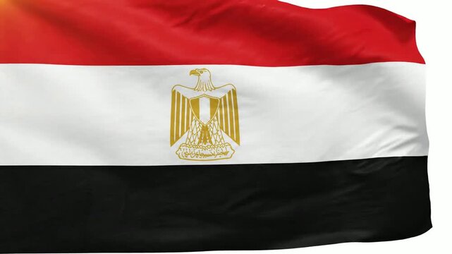 Waving flag of egypt with eagle of saladin emblem, national symbol animation for patriotic, political, and travel media projects