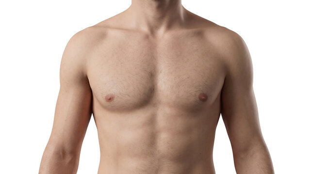 Athletic male muscular chest 3D render isolated on transparent background