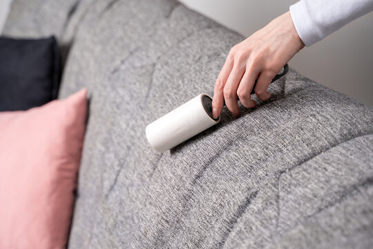 Close-up of female hand with lint roller on gray sofa upholstery, pink pillow behind. Concept of quick fabric cleaning and hygiene maintenance to remove dust and pet hair with simple sticky tape tool